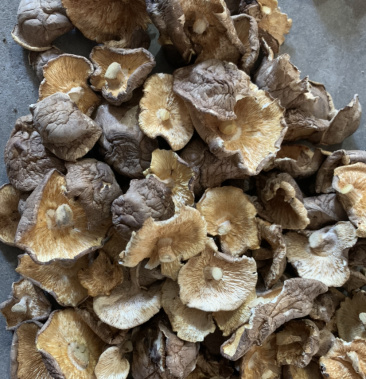 河南泌阳香菇大片,小片,烘干菇,颜色好,味道浓