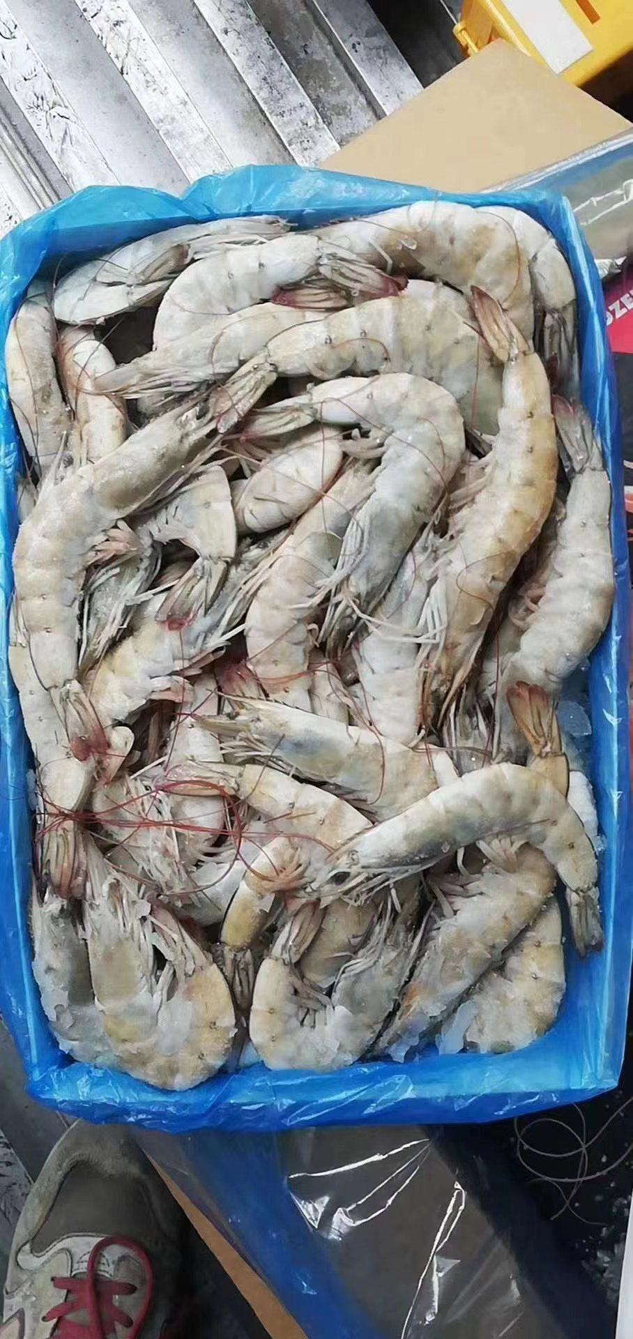 [批发]盐冻欧玛莎大虾,用着方便,口感好.价格430.00元/件 - 一亩田