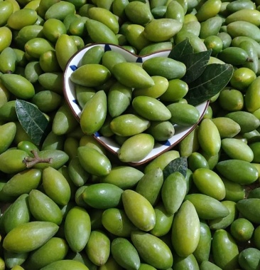 金灶特色水果2号橄榄