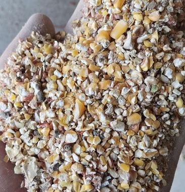 常年供应碎玉米碎小麦下脚料