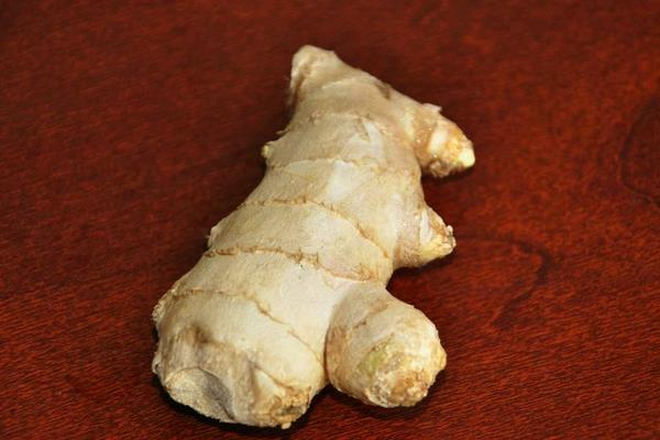 姜母切片与猪肚清洗过程