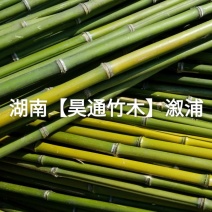 湘西雪峰山菜架竹、竹竿、竹架条、金竹、铁竹、山竹、早竹