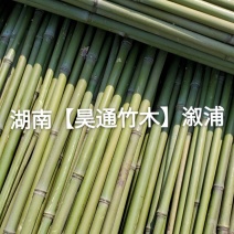 湘西雪峰山菜架竹、小竹竿、竹架条、金竹、铁竹