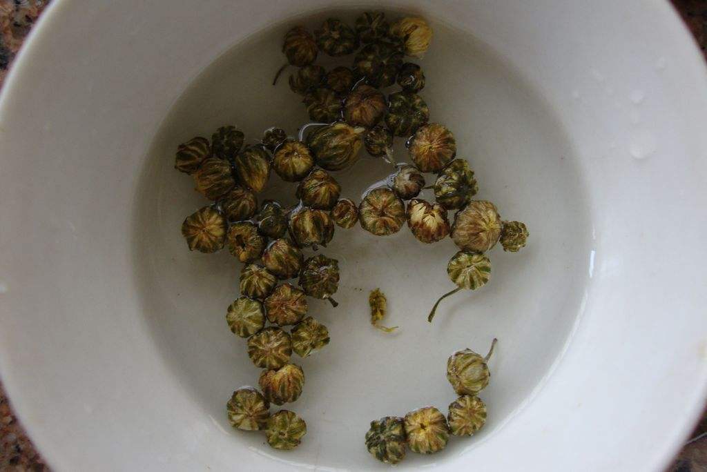 野菊花茶饮图,展示野菊花泡茶的健康饮品形式 野菊花茶饮图