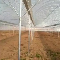 大棚骨架设计安装，各种规格，品种大棚！大棚定制，价格低