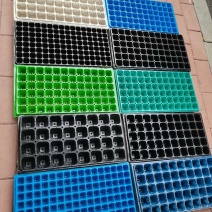 pet材料32，50，72，105穴，育苗穴盘，一手货源。
