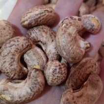 越南腰果炭烧A180