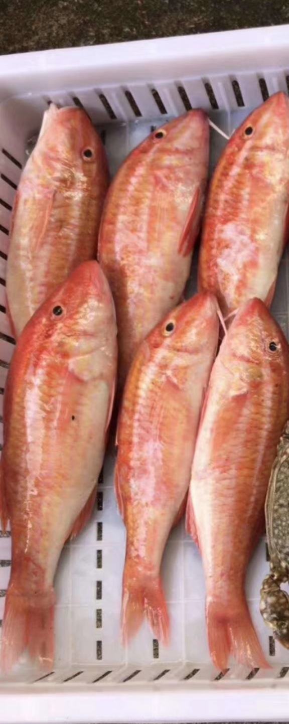 00元/斤 - 一亩田