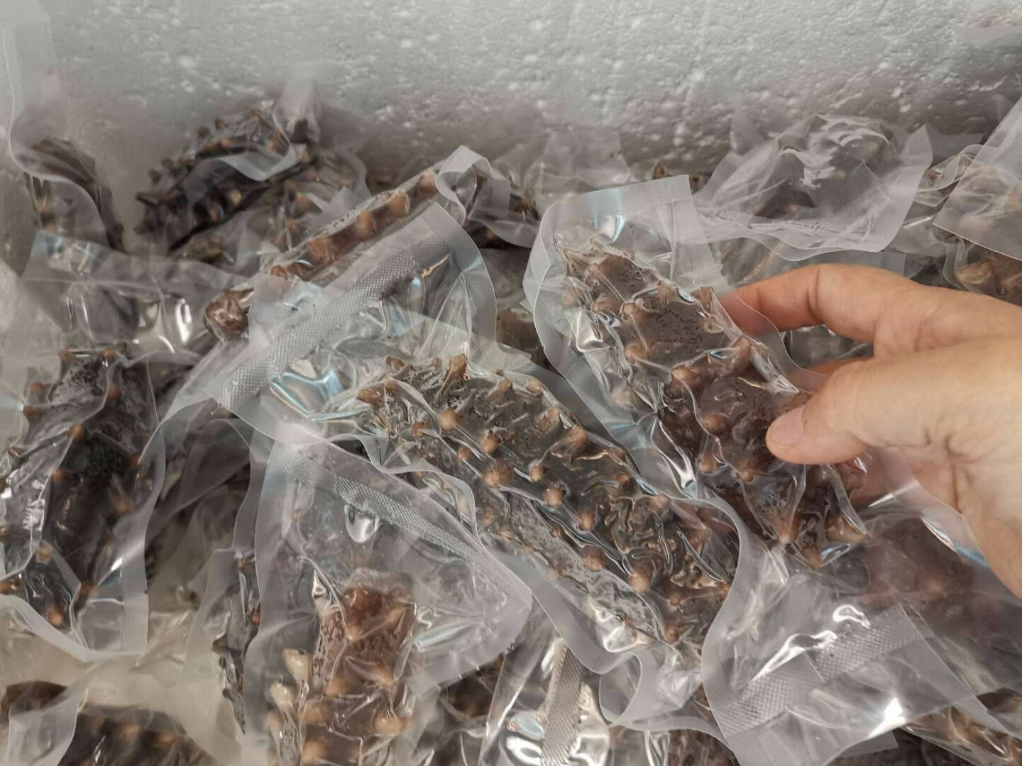 图示:工业级热风循环干燥箱内部,多层304不锈钢网架上均匀铺放保鲜参,温度探头实时显示60.0℃,湿度传感器读数为30%RH;右侧工作台摆放刚完成干燥的参体(表面棕黄油润,断面呈半透明角质状)及电子水分测定仪(屏幕显示11.2%) 保鲜参专业干燥过程实景