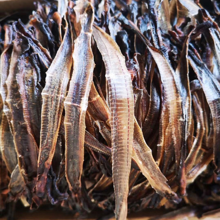 [蚯蚓批发]中药材地龙,蚯蚓,长期大量收购,有货的老板请与我联系.