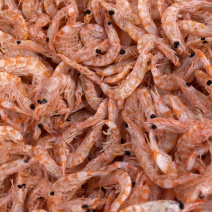 【有好货】大鳞虾皮大虾皮红虾皮有肉虾皮大连红虾米