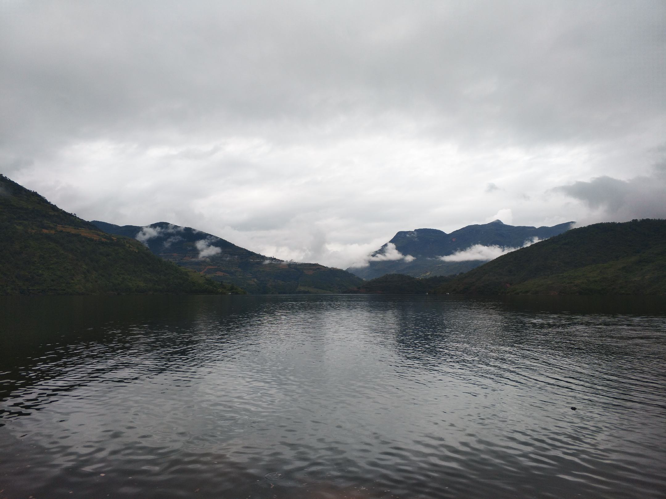 一只新鲜采摘的安岳柠檬特写，果皮呈鲜亮青黄色，表面覆有细腻均匀的油胞颗粒，果蒂完整微绿，背景虚化呈现梯田式柠檬园轮廓