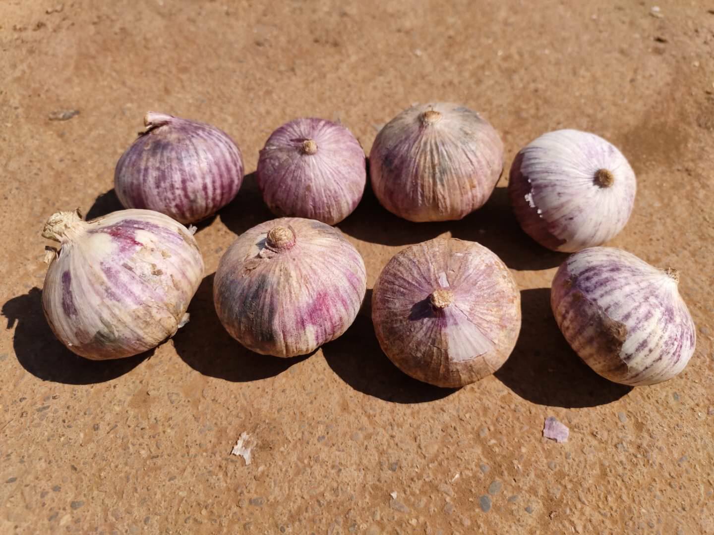 发芽独头蒜的创意料理