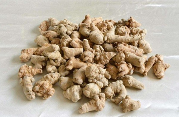 图中展示了三七植株与田七植株的形态对比,包括叶片、花朵和根部的差异,帮助读者直观理解两者在植物学上的区别 三七与田七的植物对比图