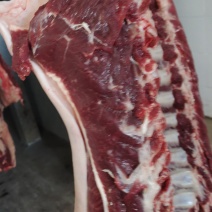 鲜驴肉马肉大量现货供应，有自己养殖基地，屠宰加工一条龙服