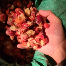 厂家一级二级特级虾尾价格美丽需要的联系