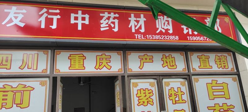 药材种苗批发