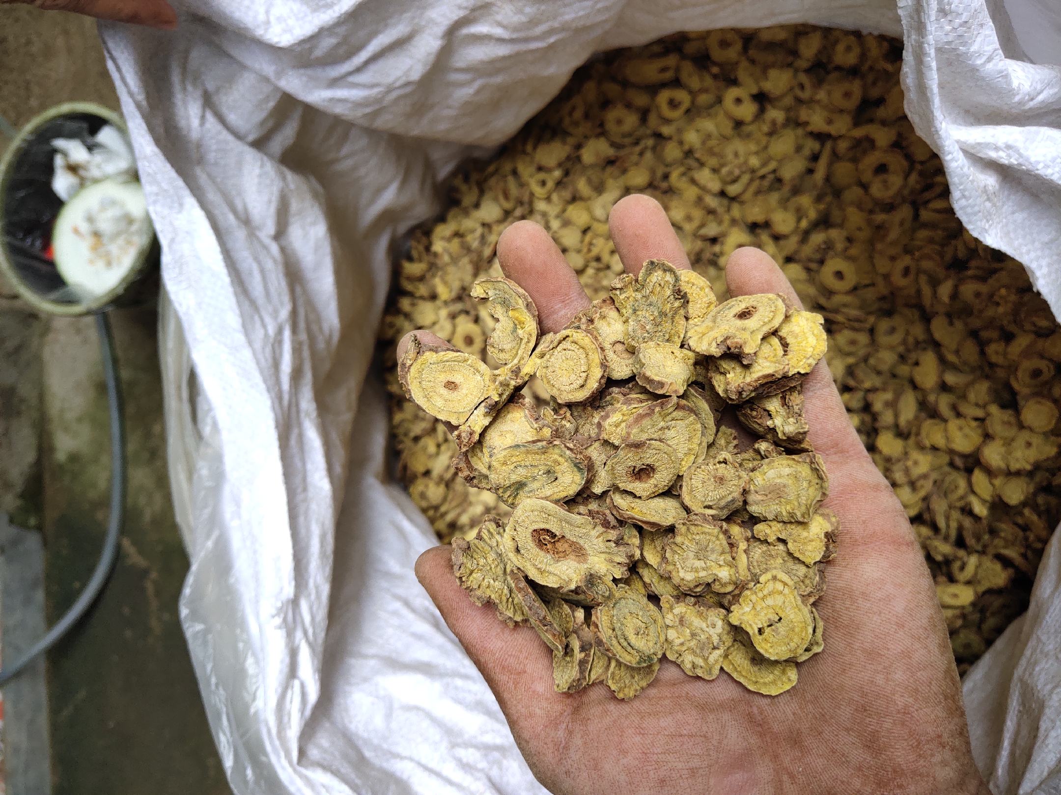 中药房中的黄芩饮片展示