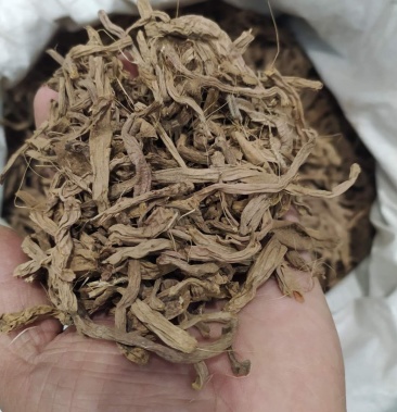 [萱草根批发]萱草根产地直供 支持线上交易可搭配多