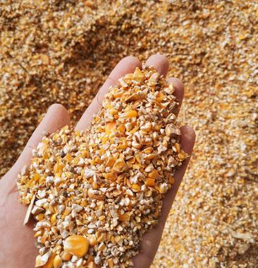 碎玉米下脚料,常年供应,适合所有个人的养殖户使用
