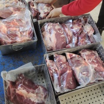 鲜驴肉马肉天天打卡，话不多说，实力赢天下
