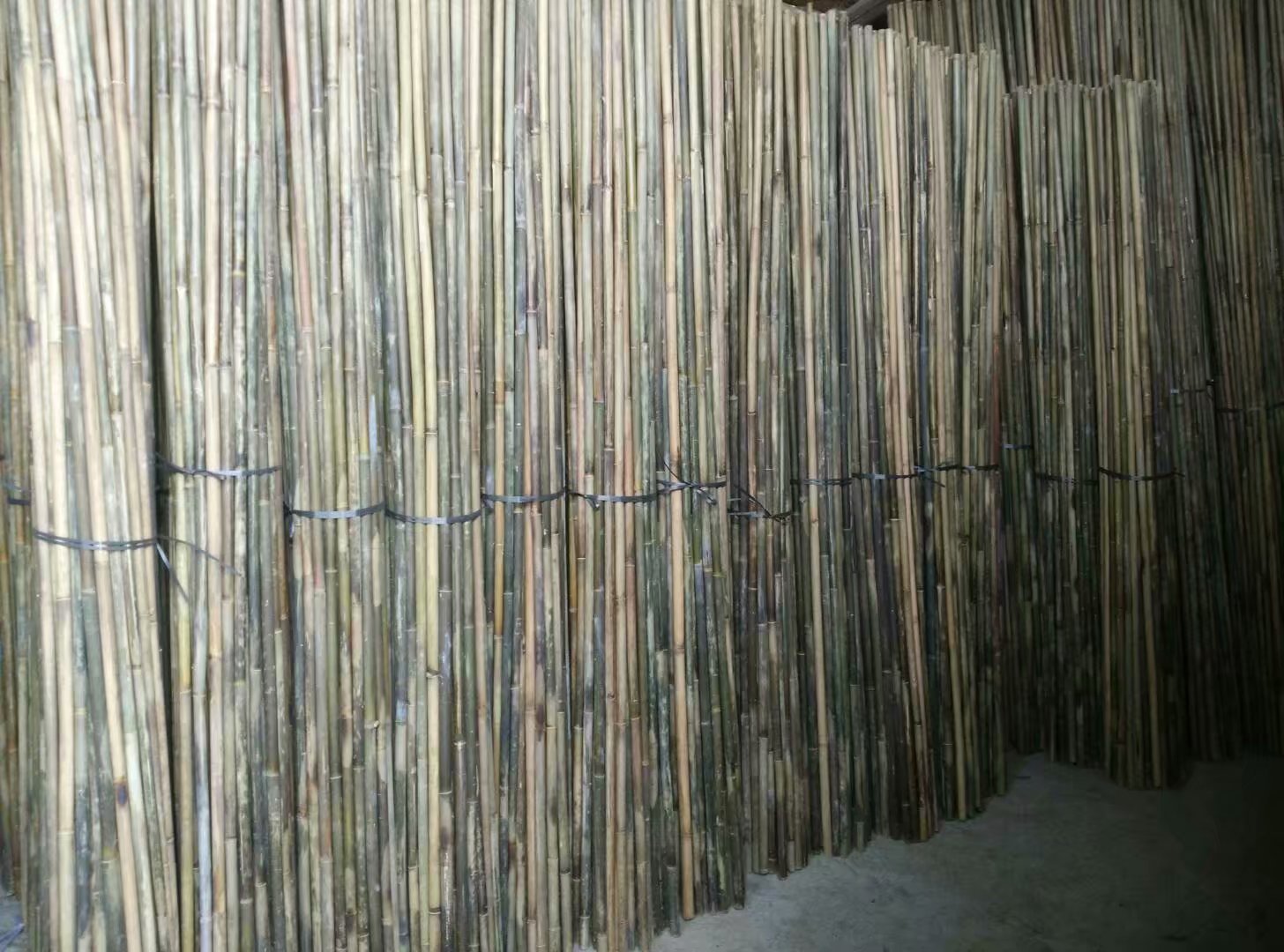 展示不同搭架材料,包括竹竿、钢管、尼龙网等 西葫芦搭架材料示意图