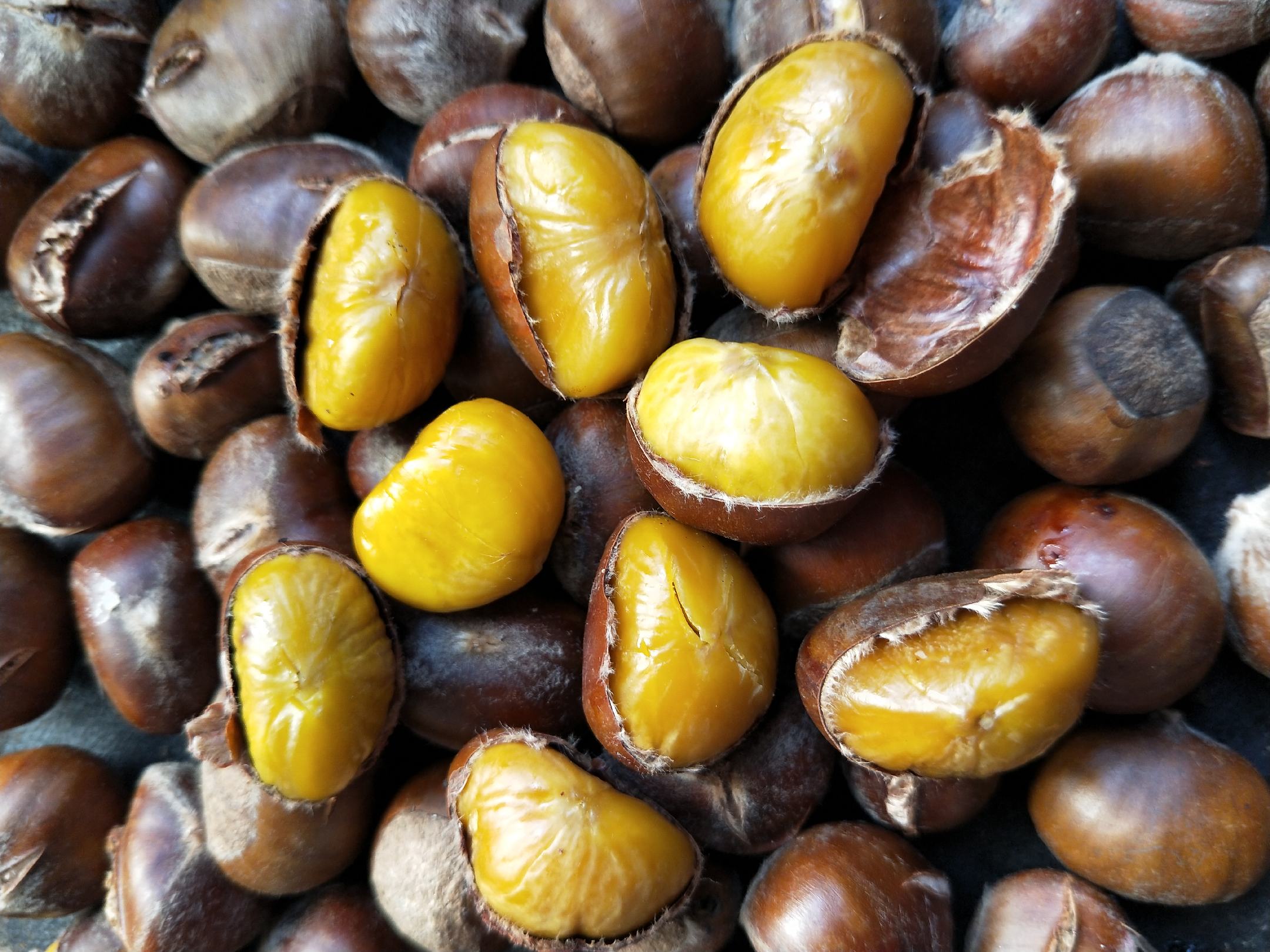 油栗仁与外壳对比图