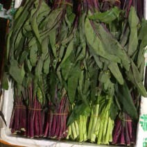 湖北仙桃带叶红菜苔