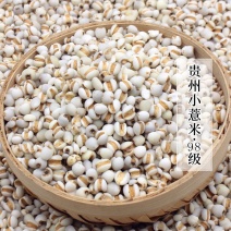 98米贵州新米小薏米薏苡仁薏仁米