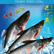 巴沙鱼，巴沙鱼腩，巴沙鱼柳！有需要可联系