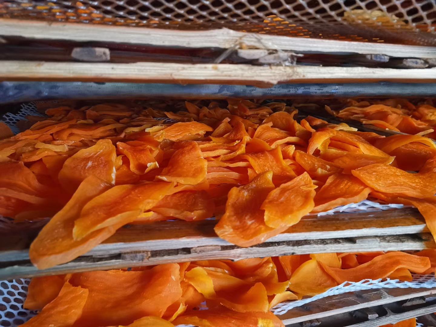 新鲜土豆与土豆干对比图