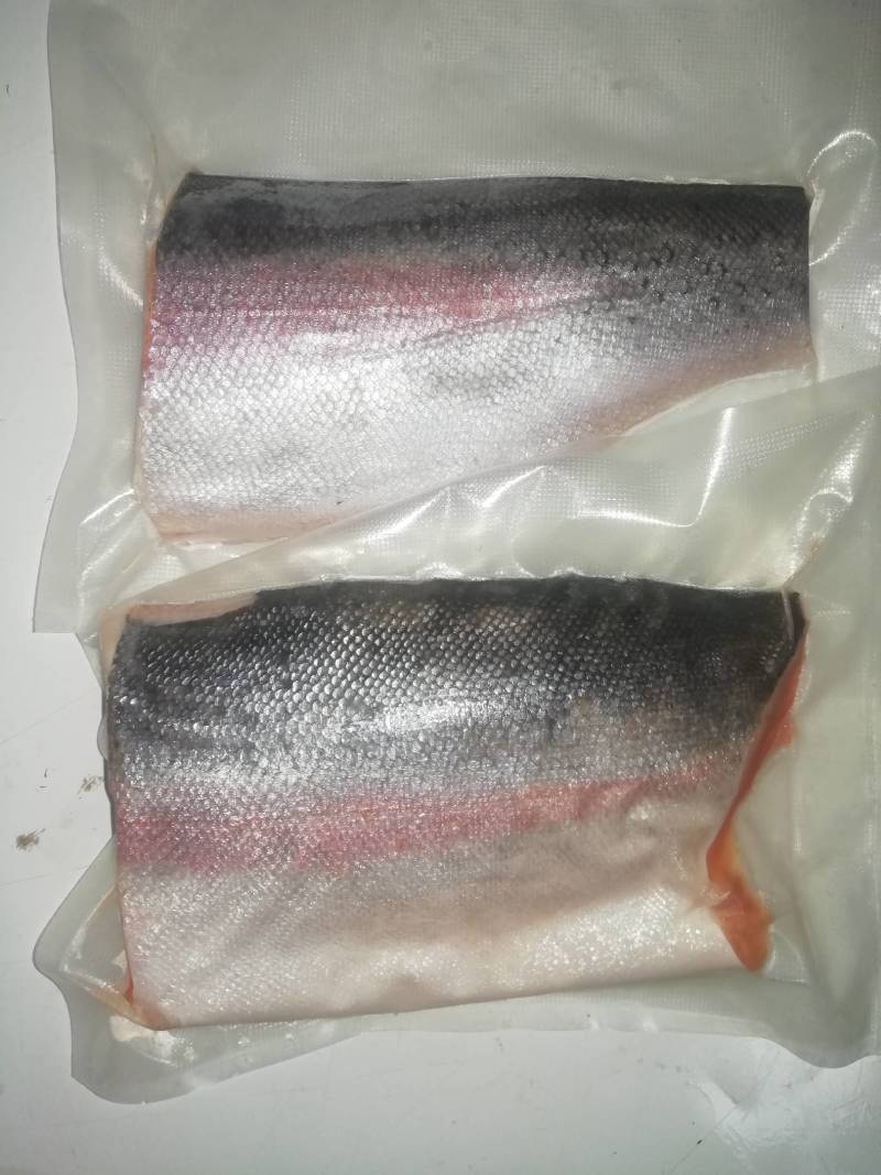 青海龙羊峡三文鱼虹鳟鱼