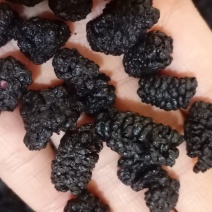 桑葚干，中药材保健批发