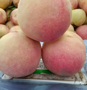 安阳市大甜桃冬桃特甜