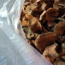 烘干松蘑干货大量供应，