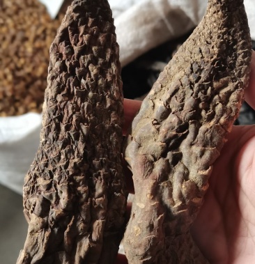 牛商推荐野生肉苁蓉大云大芸男性滋补品泡水泡酒煲汤