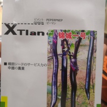 【优选】茄子种子日本锦城一号黑亮细长棒型长茄种子