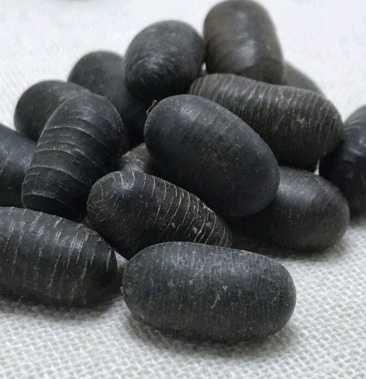 苦石莲,产地西藏直供,品质保证,药典标准,地道良药