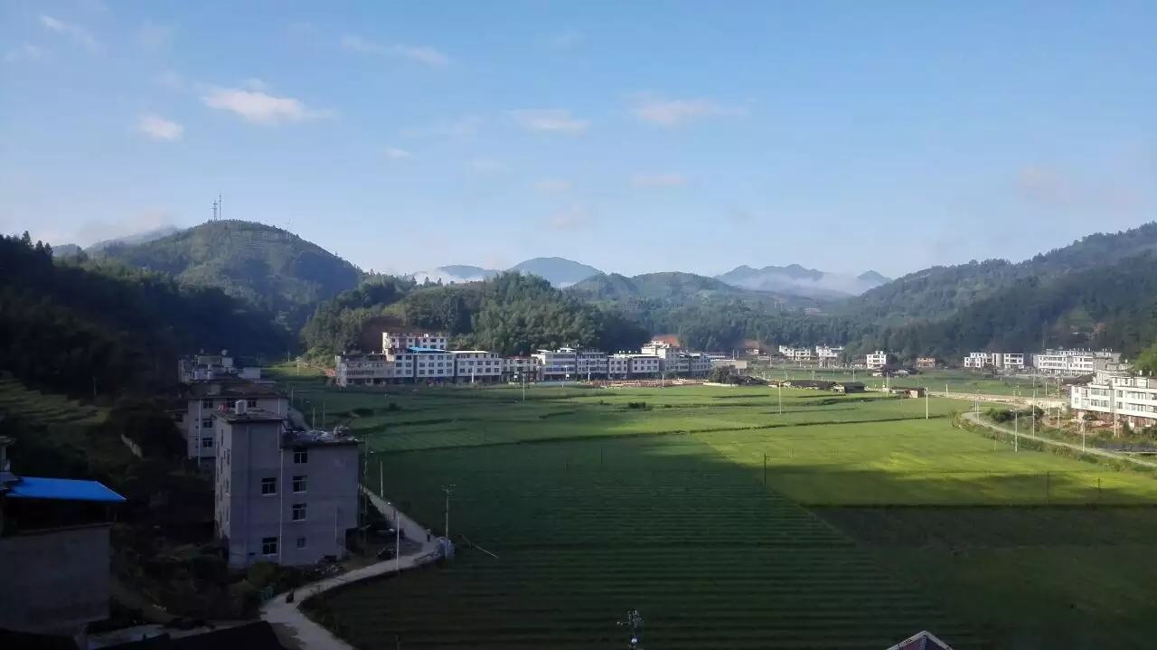 地图展示陕西省汉中市下辖的城固县、南郑区、洋县、勉县、西乡县等主要柑桔种植区,标注各区域种植面积与地理特征,背景为秦巴山脉与汉江流域地形轮廓 汉中柑桔主产县区分布图
