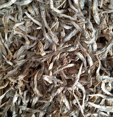 饲料级出水烂鱼干,干度好.鱼条均匀无杂质