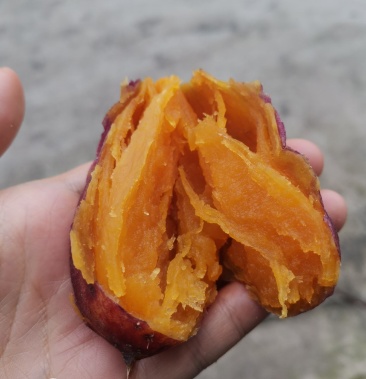 红薯水果红薯红皮红心产地直发量大从优互利共赢