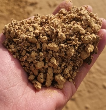 新疆库尔勒市46蛋白棉粕