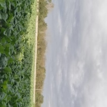 生产基地，直销，质量保证