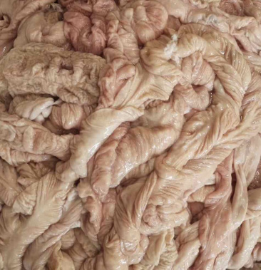 靓货干水鲜冻猪大肠屠宰场直销一天半吨到2吨