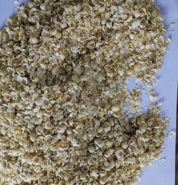 大量豌豆壳皮品质保证现货销售