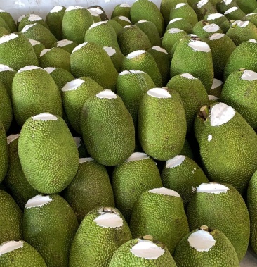 越南红肉菠萝蜜, 整柜 4.2米分货.多可以做.