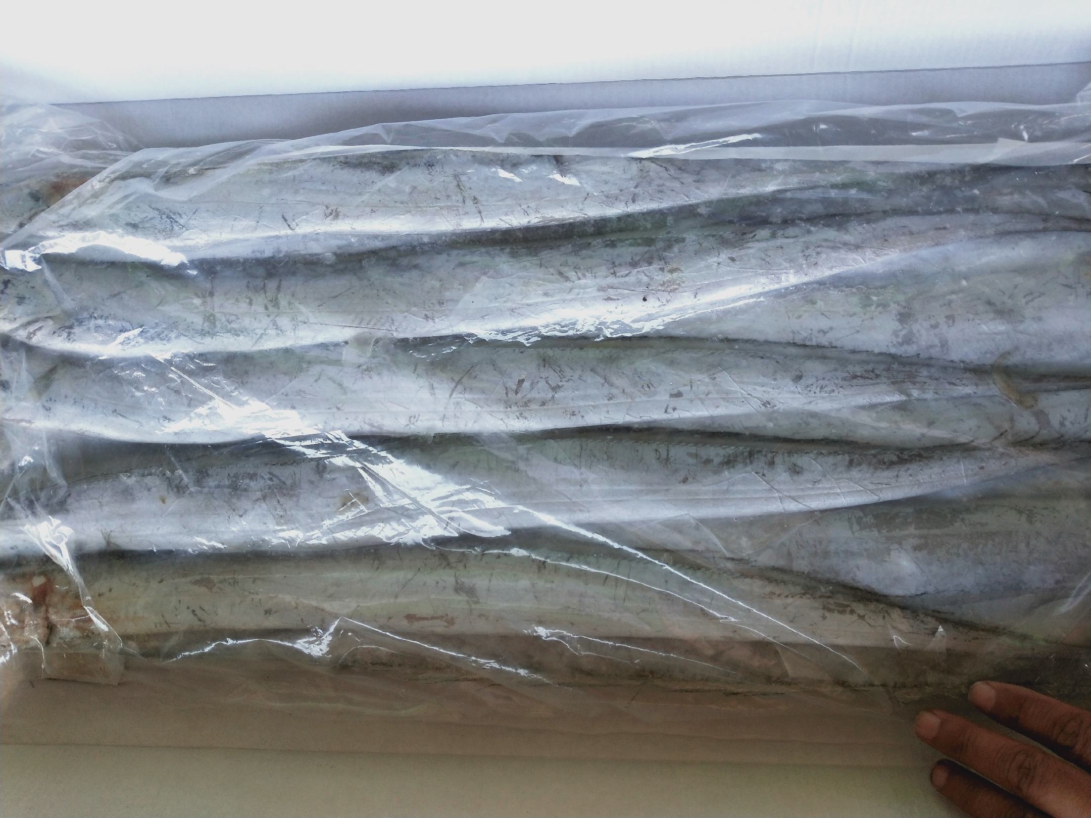 现代化包装车间内部,自动化称重设备正将干海带丝按50克/袋标准分装,工人佩戴口罩和手套进行质检与封口作业,传送带旁堆放着印有‘霞浦特产’‘地理标志保护产品’字样的成品礼盒 包装车间内工人对干海带丝进行称重分装