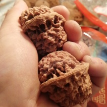 文玩核桃大量批发零售