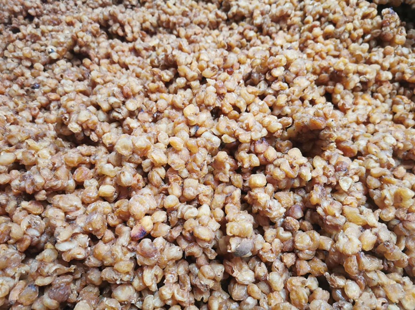 储良龙眼产品展示