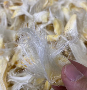 鱼翅干货大滑沙小鱼翅胶质丰富口感酒店食材